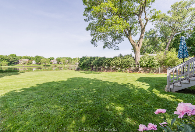 1727 Riverside Avenue St. Charles, IL 60174 - Photo 37 of 50 a view of yard with green space