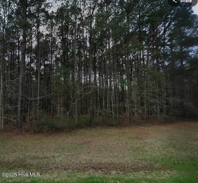 0 Gum Swamp Road Ayden, NC 28513 - Photo 1 of 4 Street view
