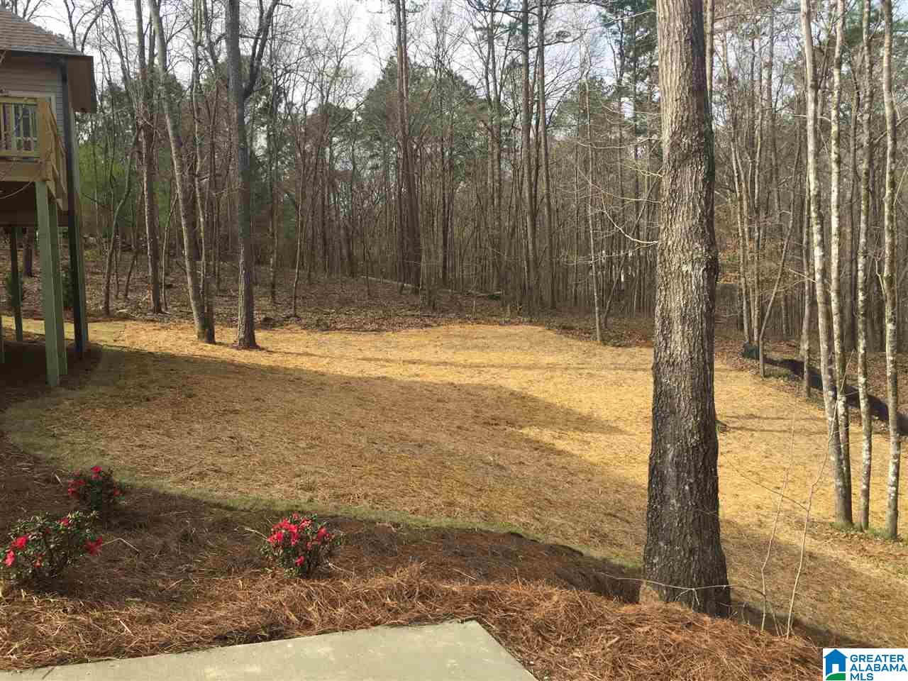12808 Alpine Circle McCalla, AL 35111 - Photo 6 of 42