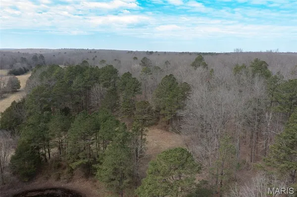 $295,000 | 72 Off Ocr 159, Fremont, MO 63941