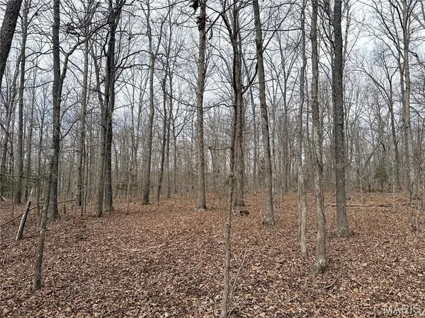 $295,000 | 72 Off Ocr 159, Fremont, MO 63941