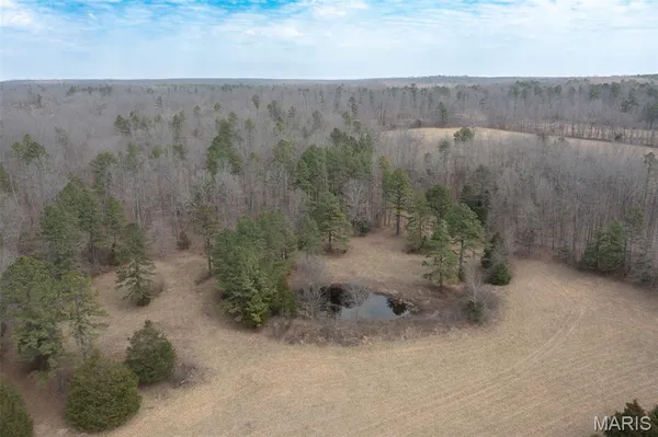 $295,000 | 72 Off Ocr 159, Fremont, MO 63941