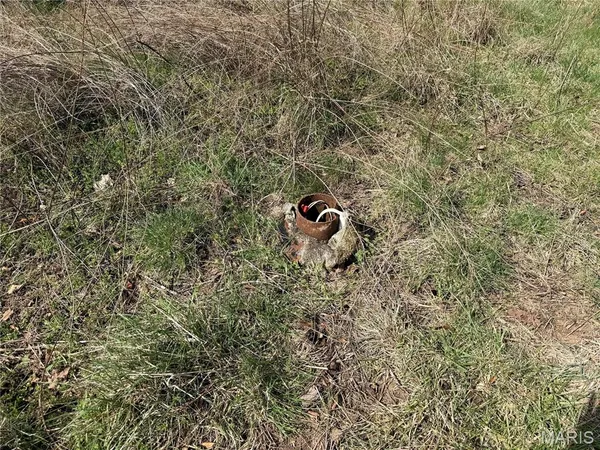 $295,000 | 72 Off Ocr 159, Fremont, MO 63941