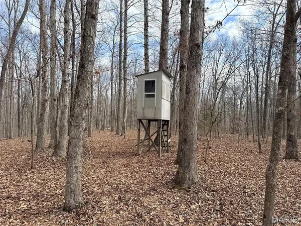 $295,000 | 72 Off Ocr 159, Fremont, MO 63941