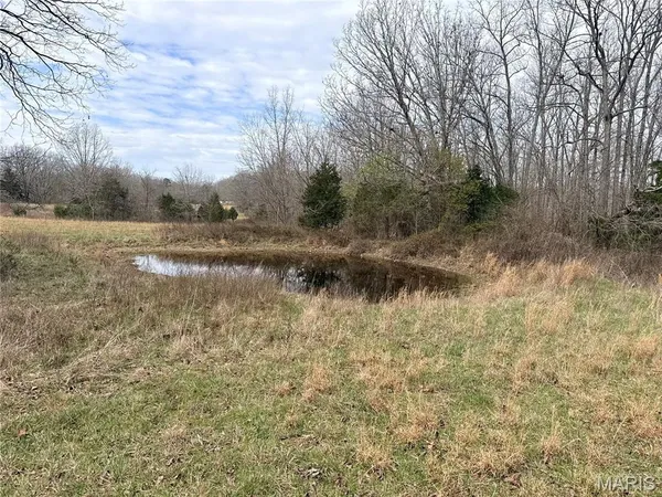 $295,000 | 72 Off Ocr 159, Fremont, MO 63941