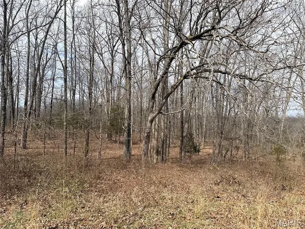 $295,000 | 72 Off Ocr 159, Fremont, MO 63941