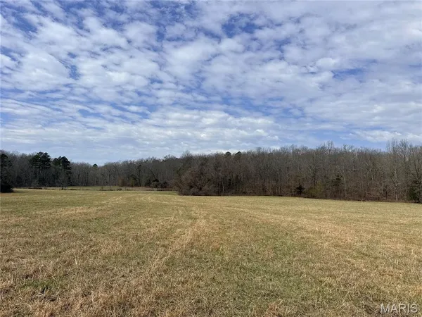 $295,000 | 72 Off Ocr 159, Fremont, MO 63941