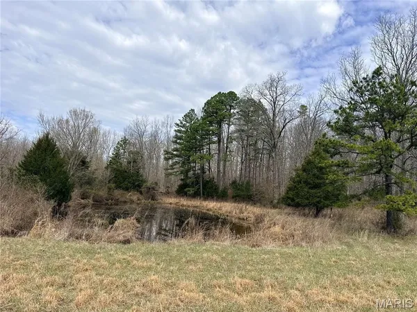 $295,000 | 72 Off Ocr 159, Fremont, MO 63941