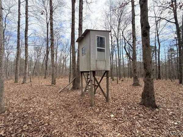 $295,000 | 72 Off Ocr 159, Fremont, MO 63941