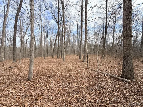 $295,000 | 72 Off Ocr 159, Fremont, MO 63941