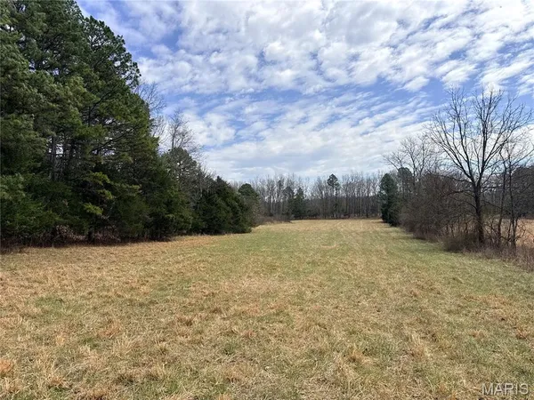 $295,000 | 72 Off Ocr 159, Fremont, MO 63941