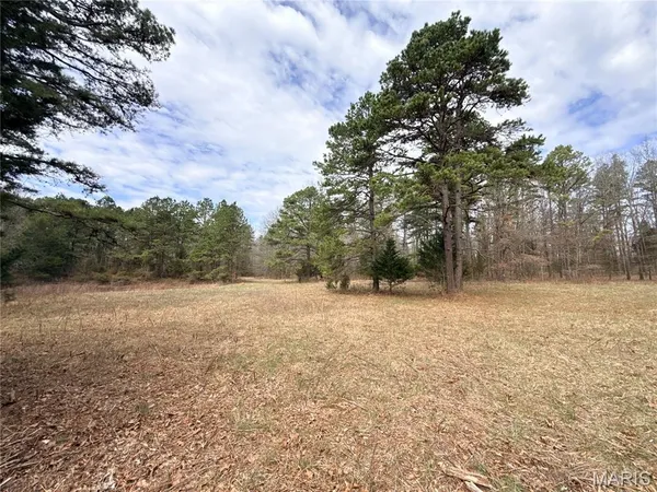 $295,000 | 72 Off Ocr 159, Fremont, MO 63941