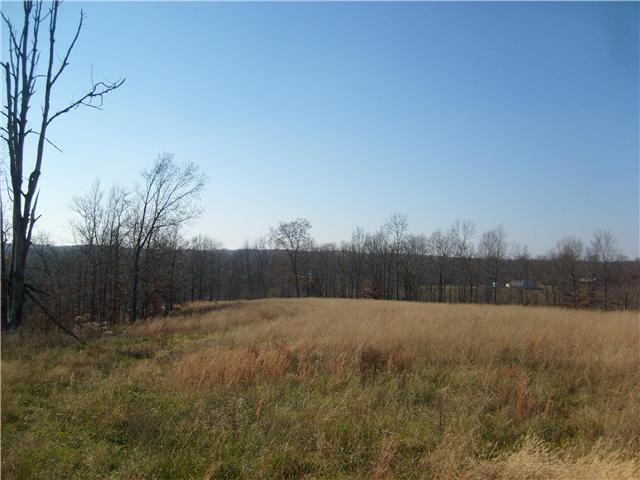 3214 Bucksnort Ridge Road Collinwood, TN 38450 - Photo 1 of 1 Gallery Image 1