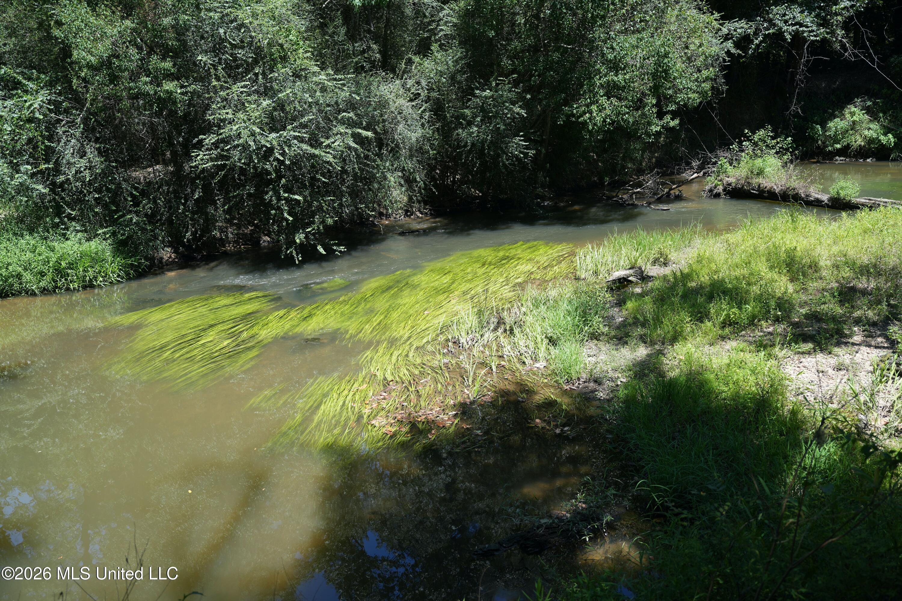 Xxxx Hamp Lea Road Magnolia, MS 39652 - Photo 26 of 48 DSC04112