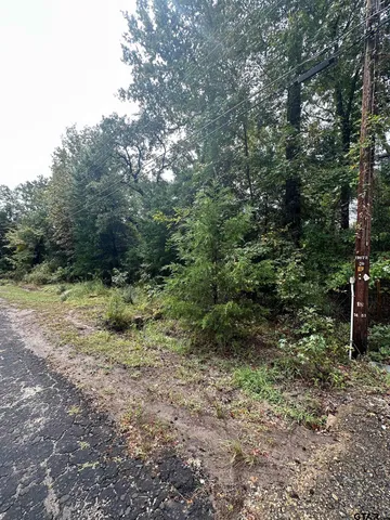 a view of a forest with trees in the background