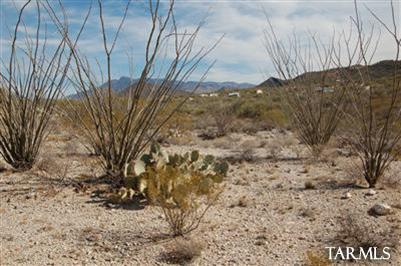 14674 East Colossal Cave Road Vail, AZ 85641 - Photo 3 of 11 Nice vegetation. Great views to the east/northeast
