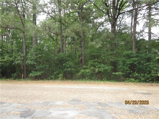 Tbd Taylor Road Dry Prong, LA 71423 - Photo 1 of 6