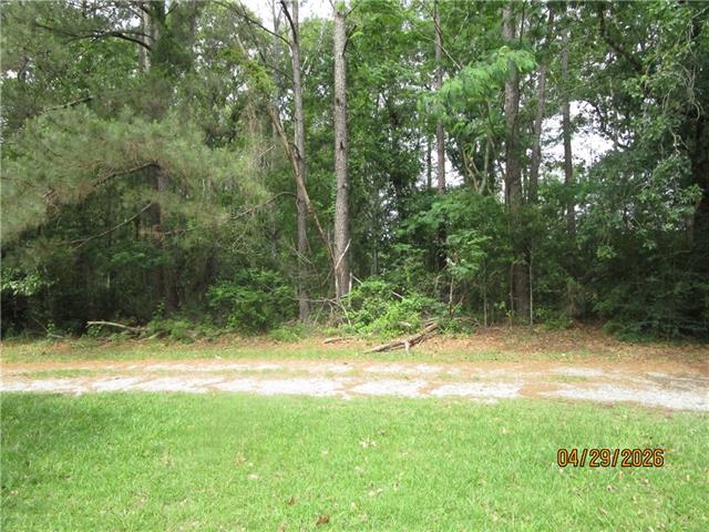 Tbd Taylor Road Dry Prong, LA 71423 - Photo 2 of 6
