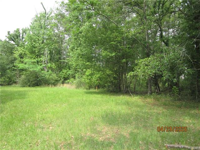 Tbd Taylor Road Dry Prong, LA 71423 - Photo 3 of 6