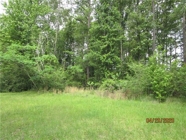 Tbd Taylor Road Dry Prong, LA 71423 - Photo 4 of 6