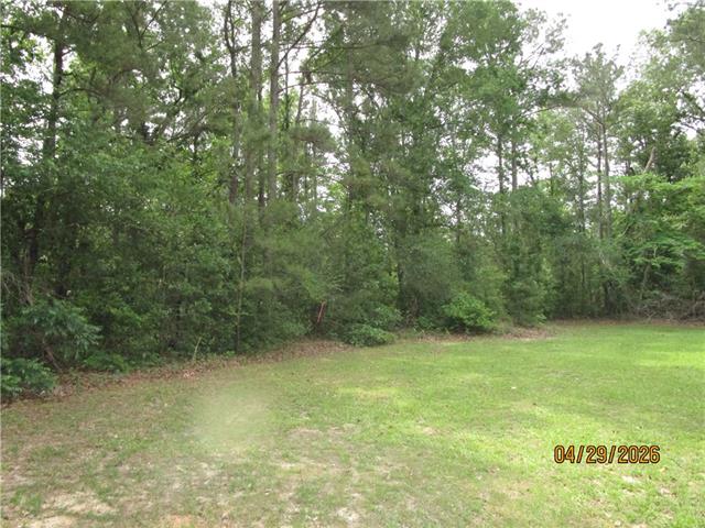 Tbd Taylor Road Dry Prong, LA 71423 - Photo 5 of 6
