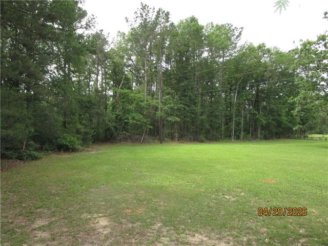 Tbd Taylor Road Dry Prong, LA 71423 - Photo 6 of 6