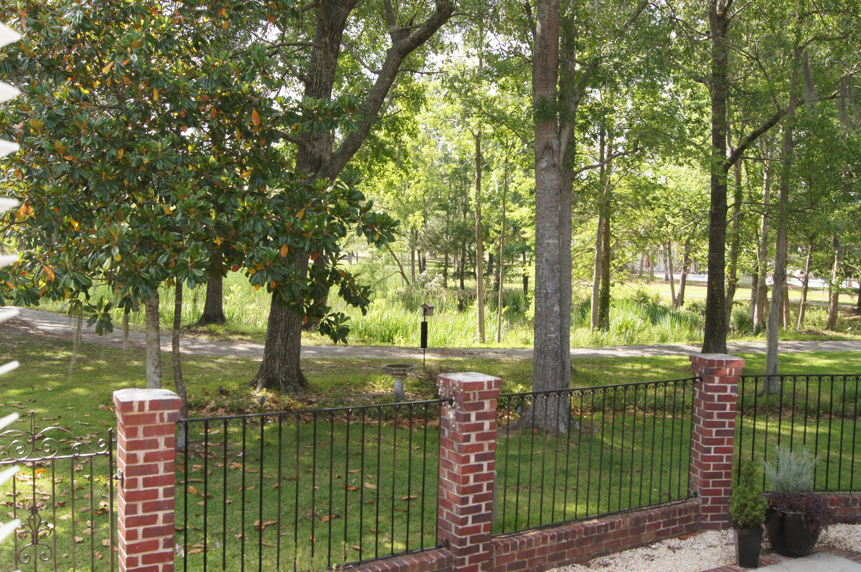 4466 Downing Pl Way Mount Pleasant, SC 29466 - Photo 11 of 16 DSC00202