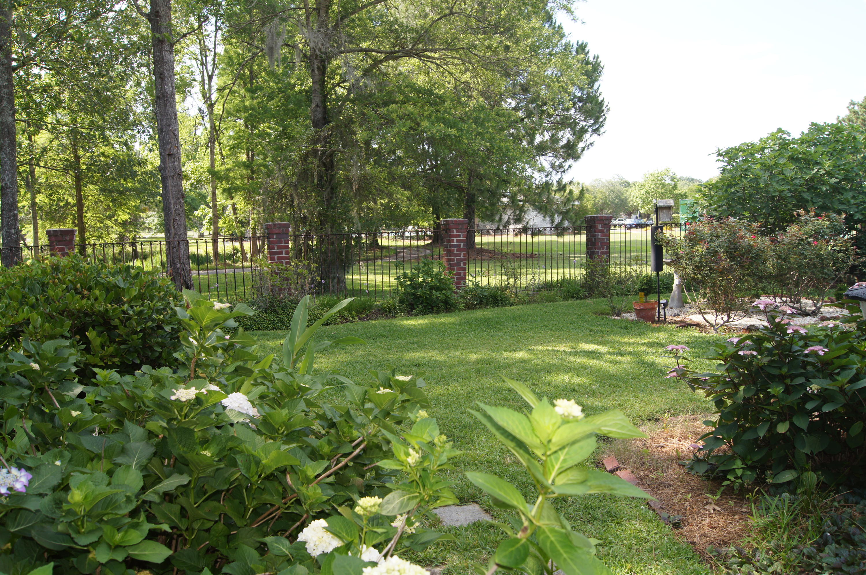 4466 Downing Pl Way Mount Pleasant, SC 29466 - Photo 15 of 16 DSC00177