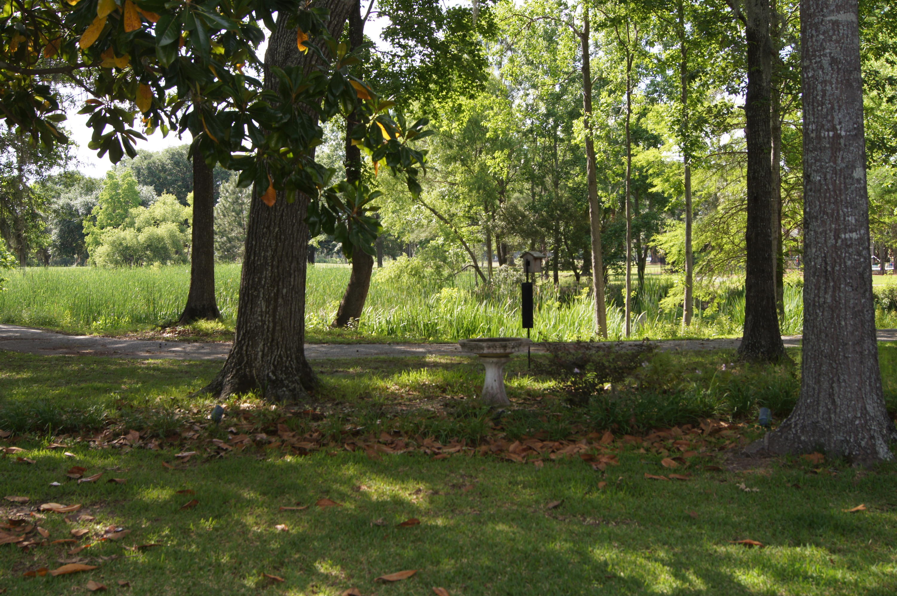 4466 Downing Pl Way Mount Pleasant, SC 29466 - Photo 16 of 16 DSC00180