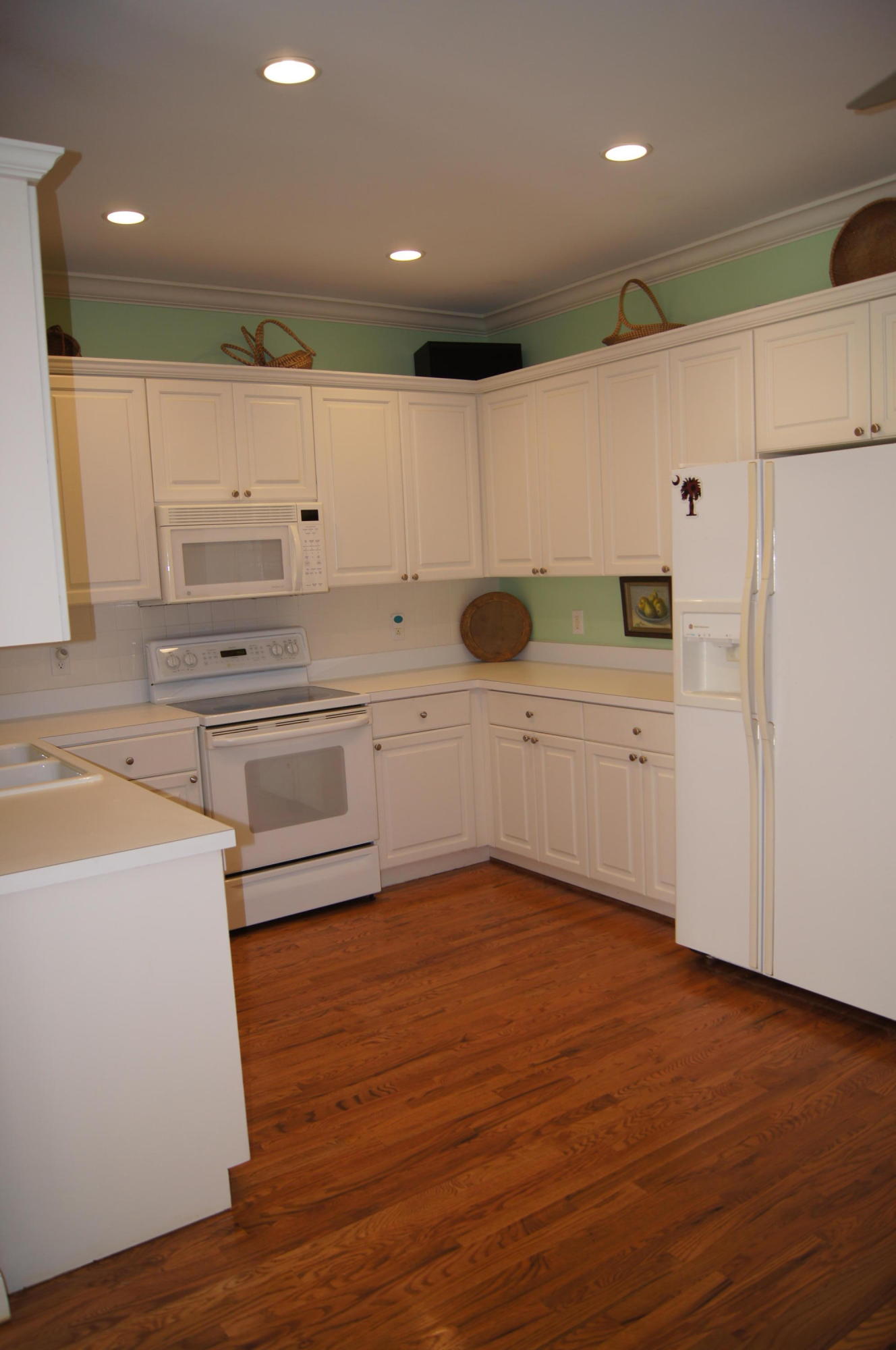 4466 Downing Pl Way Mount Pleasant, SC 29466 - Photo 4 of 16 DSC00193