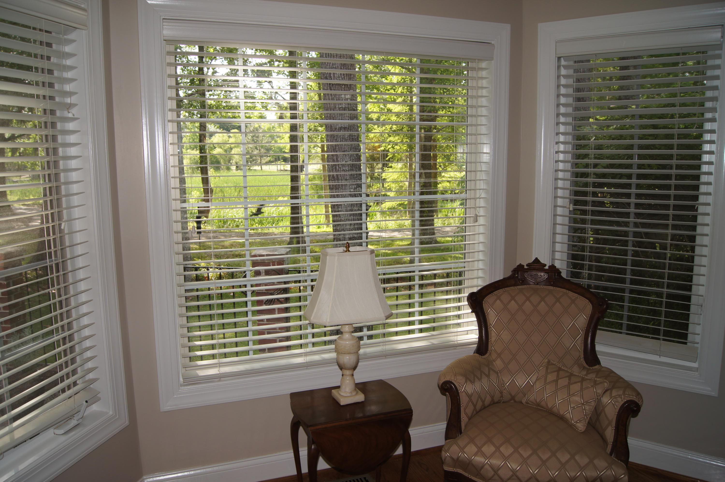 4466 Downing Pl Way Mount Pleasant, SC 29466 - Photo 8 of 16 DSC00200