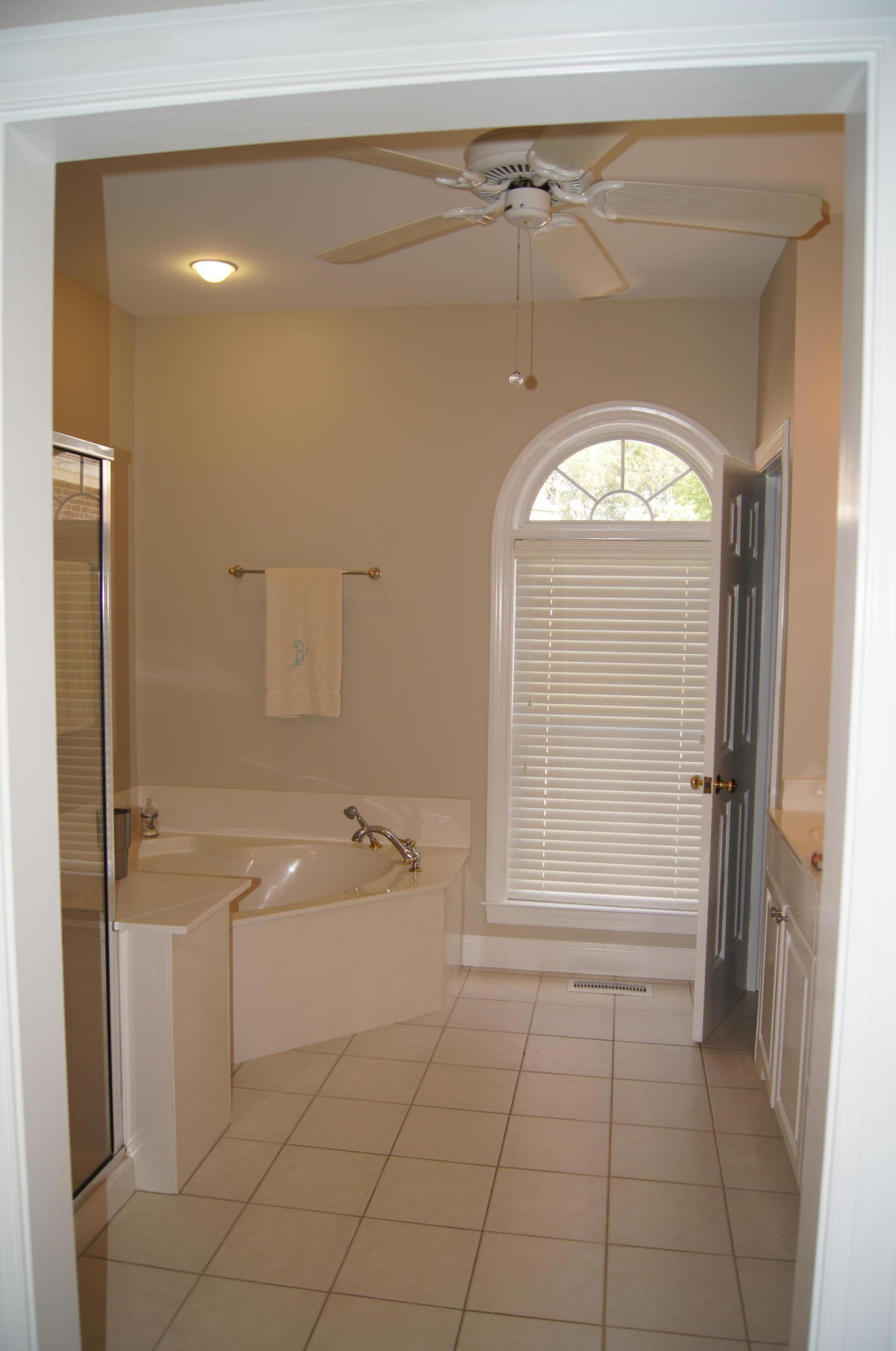 4466 Downing Pl Way Mount Pleasant, SC 29466 - Photo 9 of 16 DSC00201