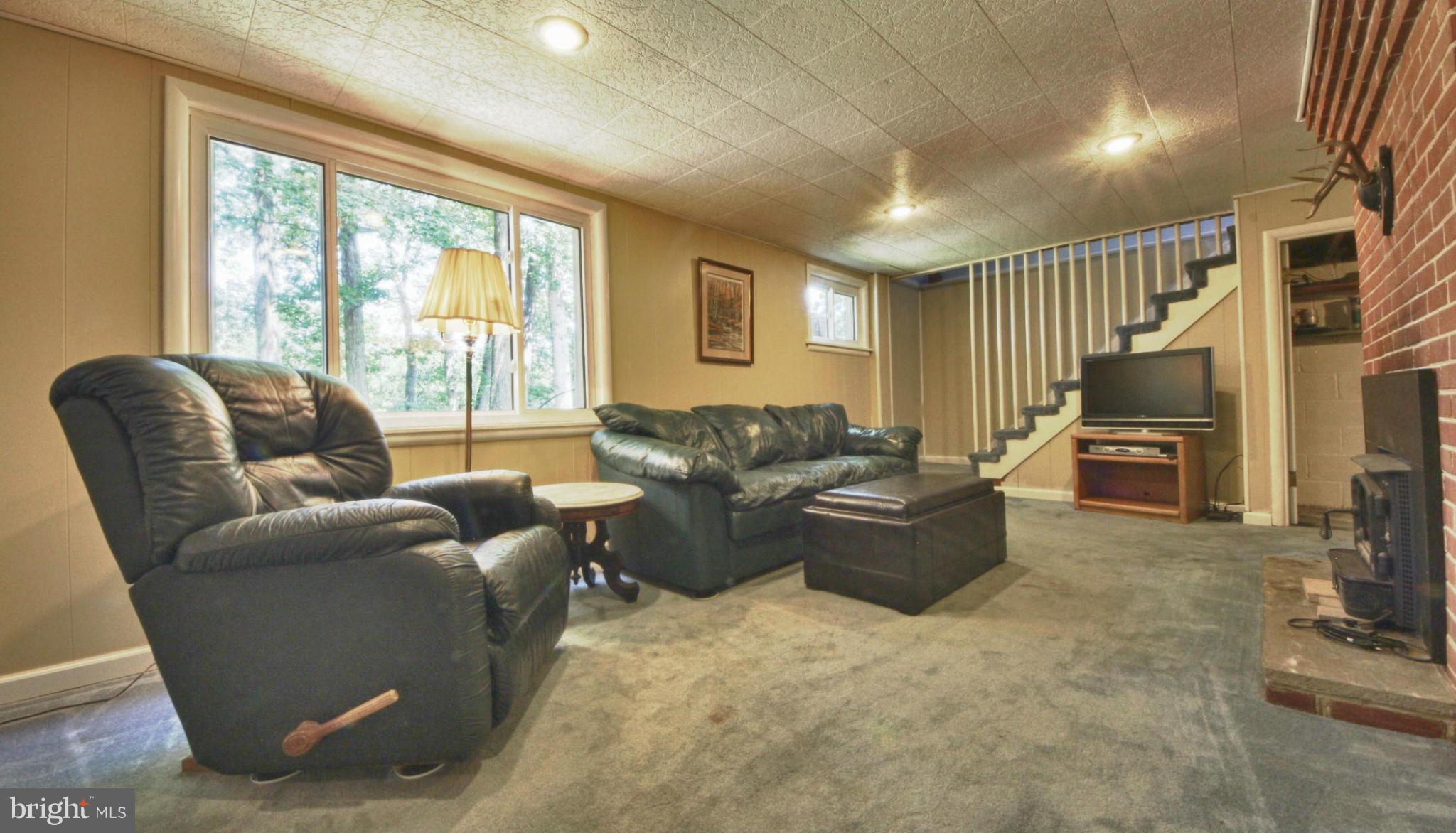 7600 Hamlet Street Springfield, VA 22151 - Photo 15 of 23 Basement