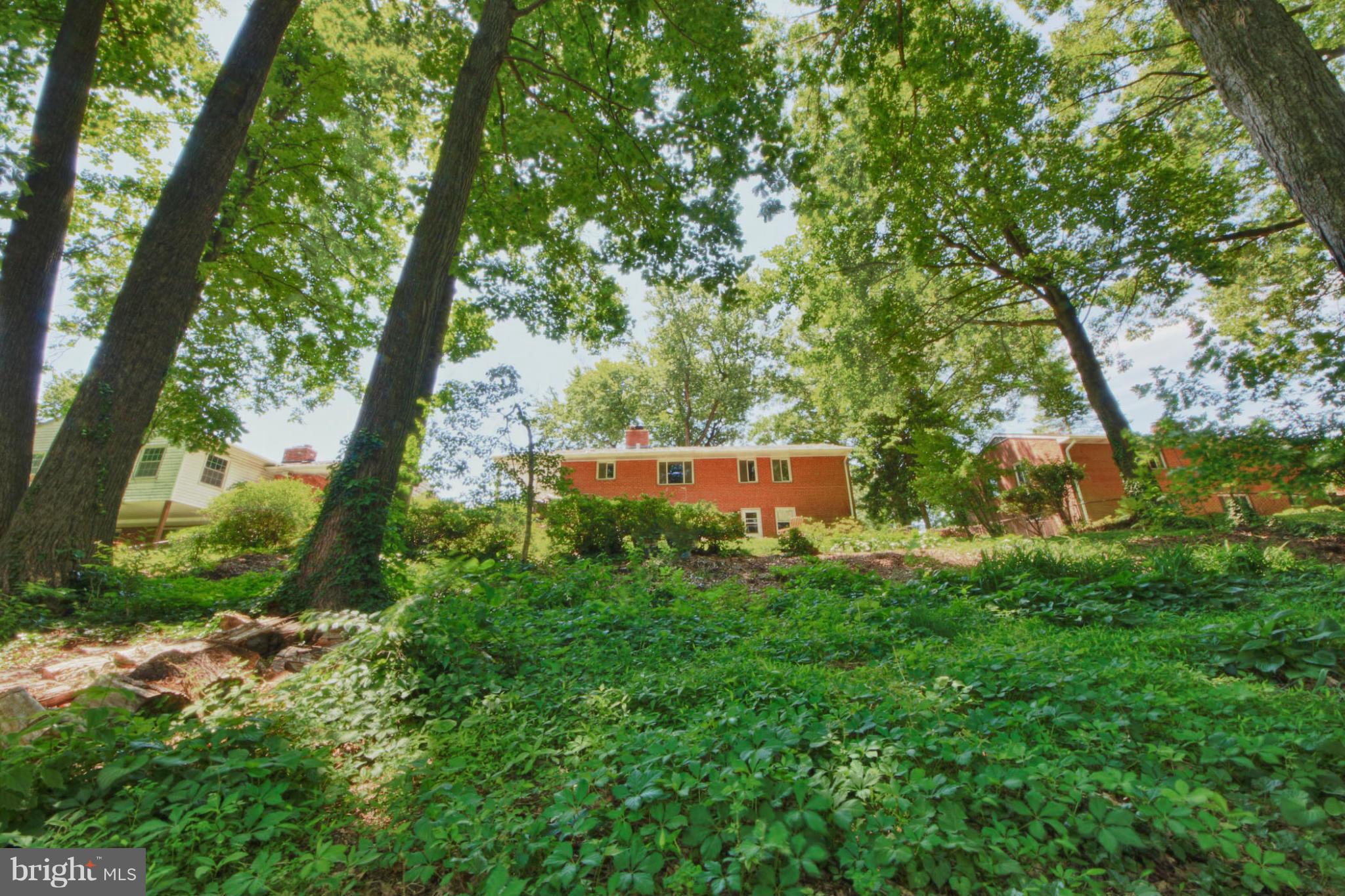 7600 Hamlet Street Springfield, VA 22151 - Photo 20 of 23 Exterior (Rear)