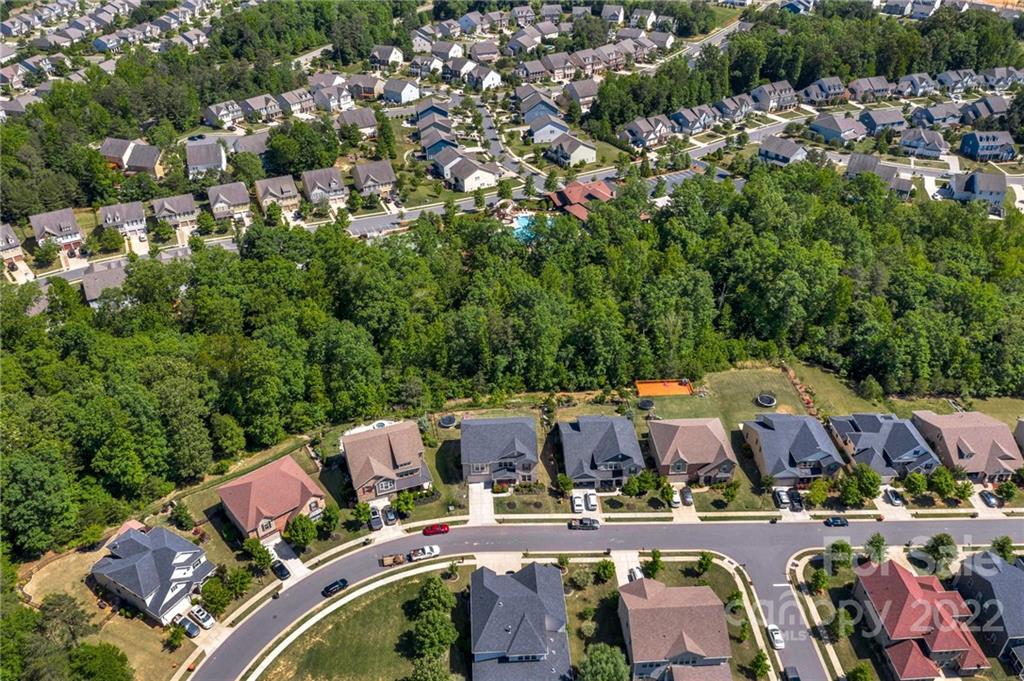 116 Annatto Way Tega Cay, SC 29708 - Photo 36 of 36 an aerial view of a swimming pool patio and outdoor seating