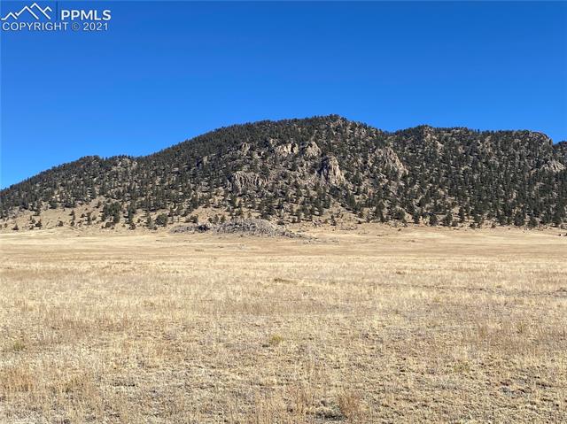2160 Chapparal Rd Lake Lake George, CO 80827 - Photo 5 of 9