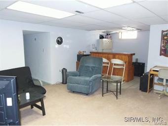 305 Front Street Waterloo, IL 62298 - Photo 21 of 24 Gallery Image 21