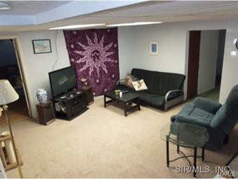 305 Front Street Waterloo, IL 62298 - Photo 22 of 24 Gallery Image 22