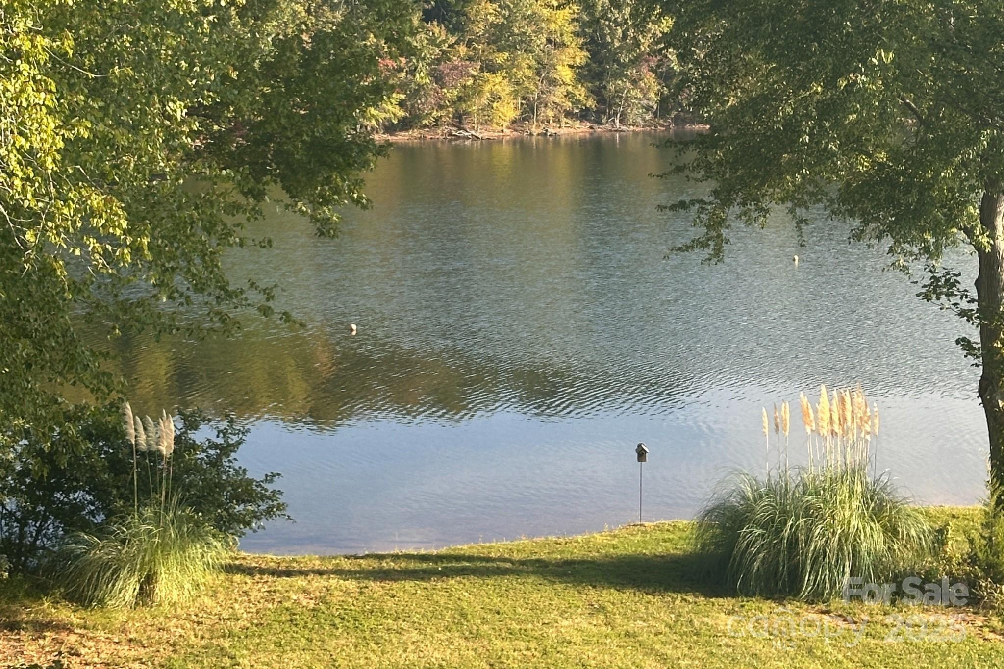 950 Jetton Street, Unit 3 Davidson, NC 28036 - Photo 2 of 29 a view of a lake from a yard