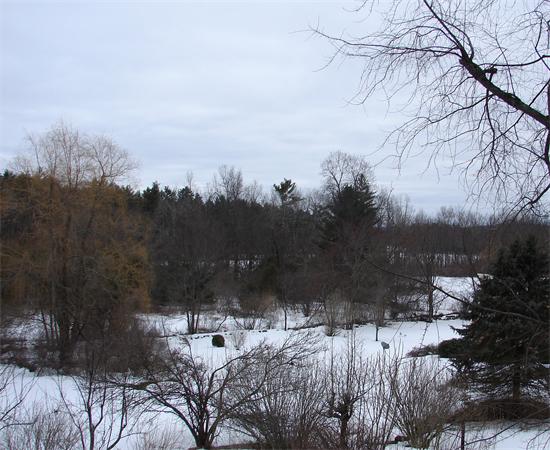 53 Wilder Road Sterling, MA 01564 - Photo 23 of 23 a view of a yard