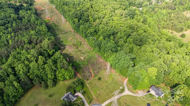 a view of a yard with plants
