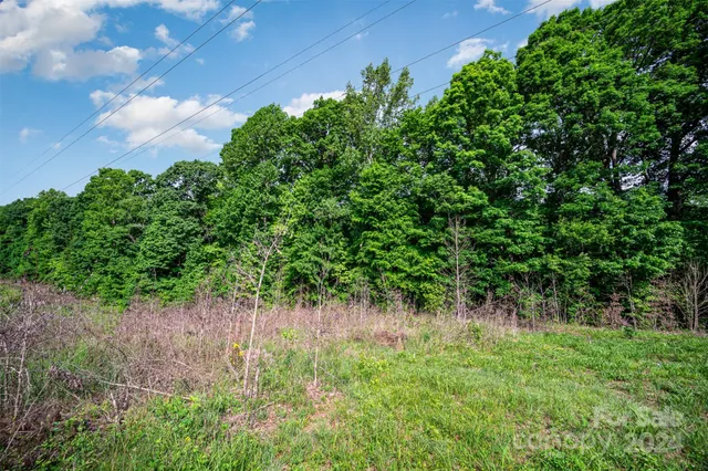a view of a garden with plants and a bench
