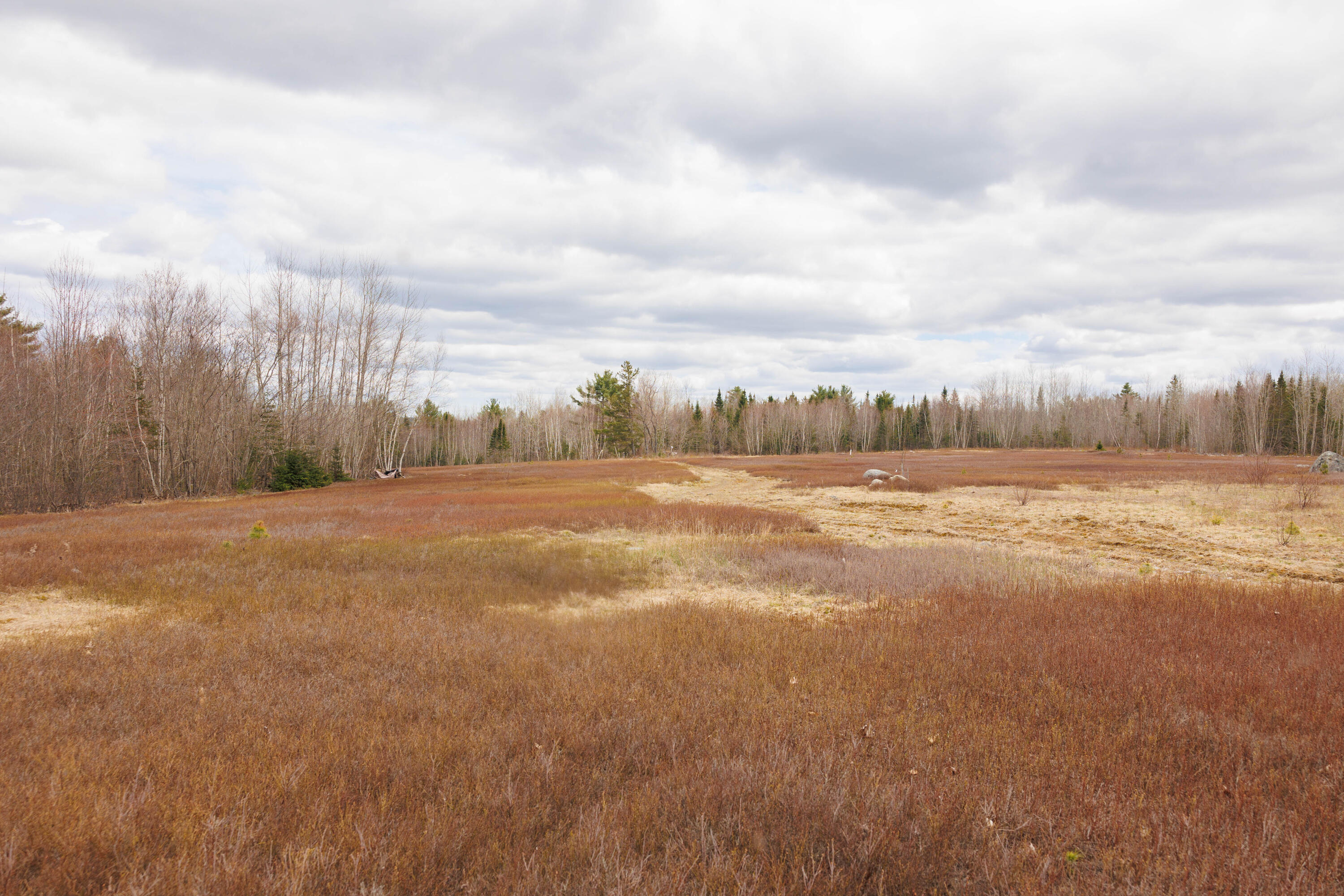 517 Tourtelotte Ridge Road Ellsworth, ME 04605 - Photo 18 of 21 517tourtelotte-19