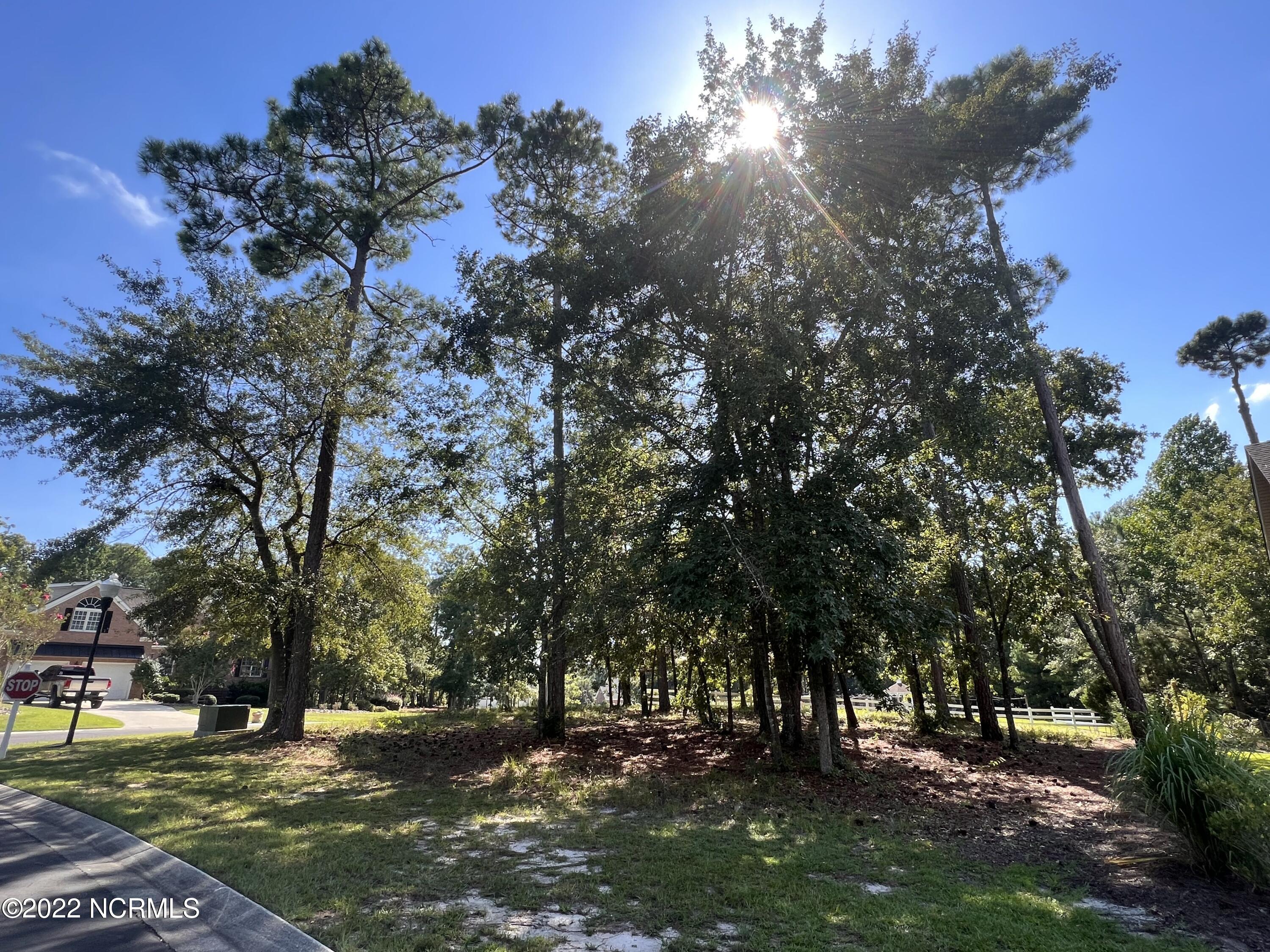 403 Cypress Ridge Drive Southeast Bolivia, NC 28422 - Photo 1 of 11 Corner Lot view