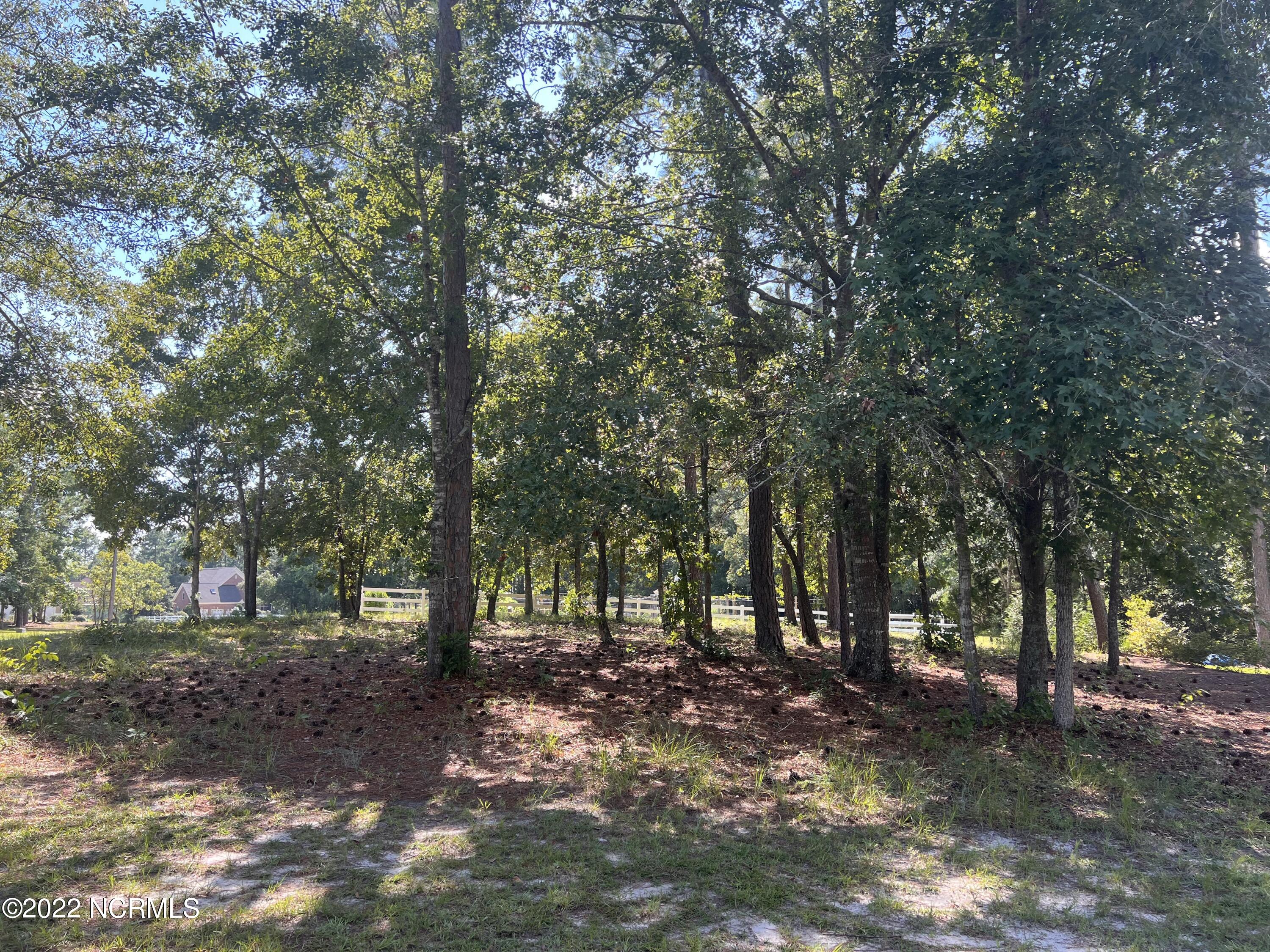 403 Cypress Ridge Drive Southeast Bolivia, NC 28422 - Photo 2 of 11 View of lot