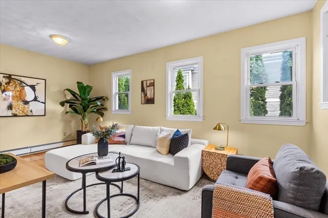 a living room with furniture potted plant and window