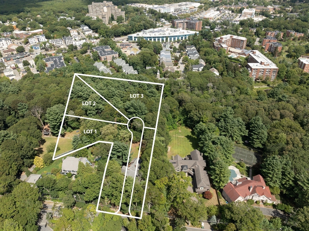 136 Dudley Road Newton, MA 02459 - Photo 6 of 23 an aerial view of residential houses with outdoor space