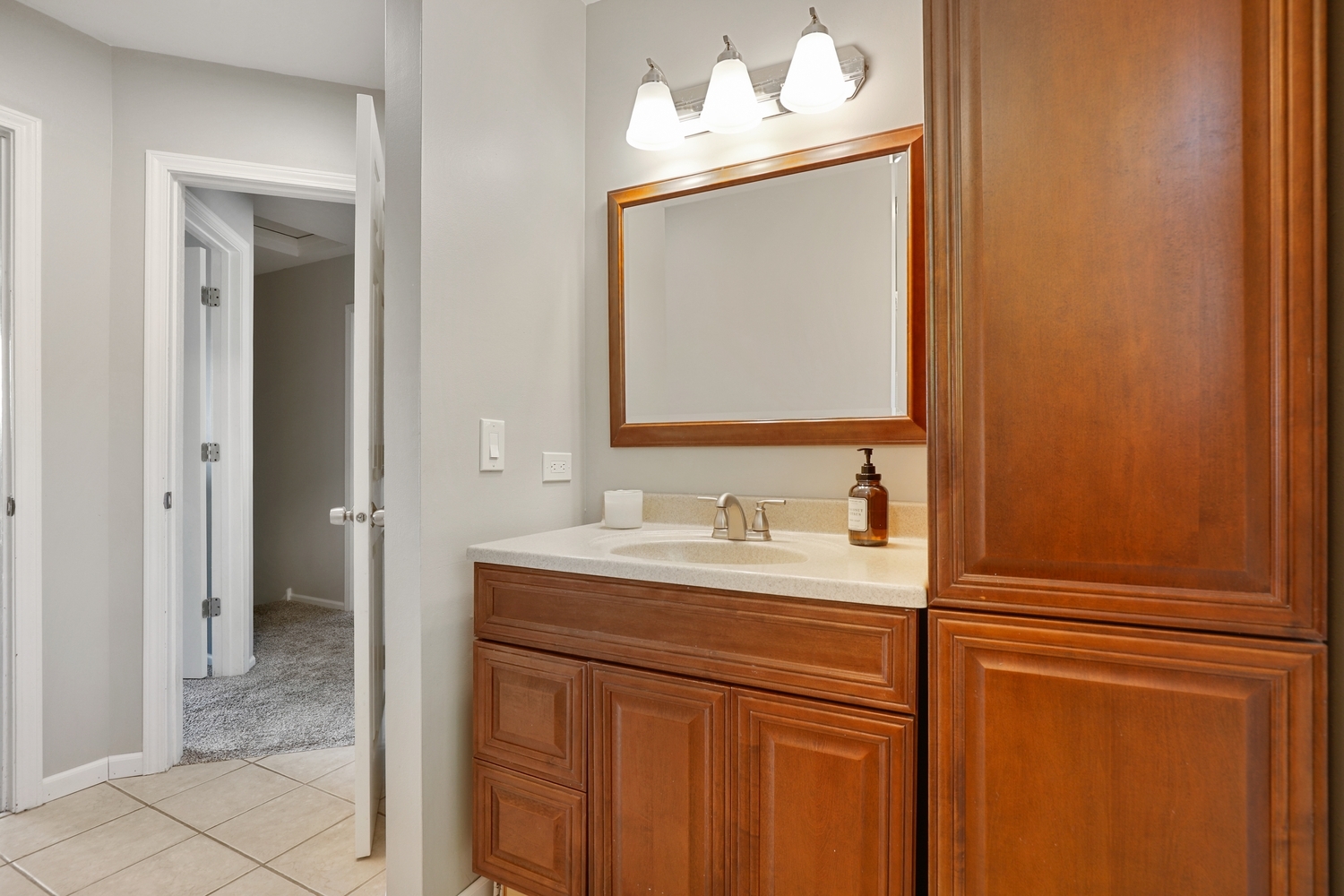 350 Pearson Circle Naperville, IL 60563 - Photo 17 of 32 a bathroom with a sink vanity and a mirror