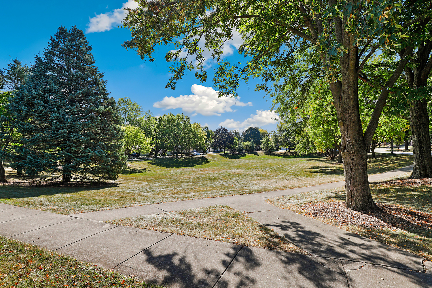 350 Pearson Circle Naperville, IL 60563 - Photo 30 of 32 a view of a yard with plants and trees