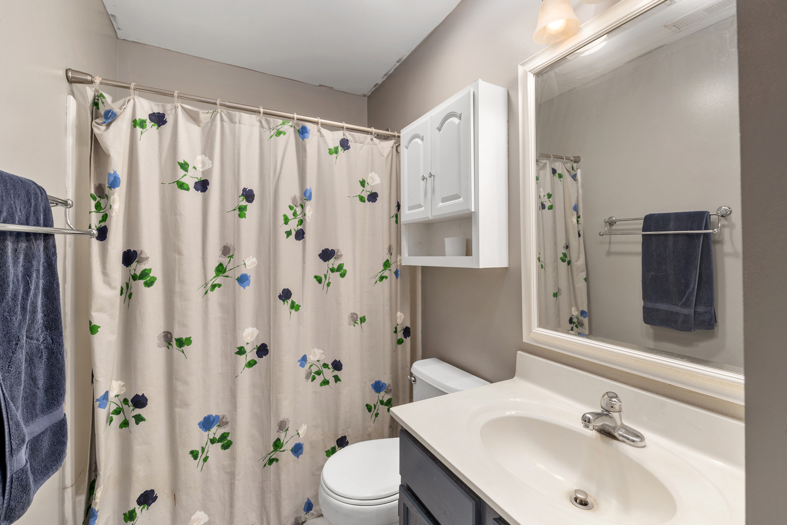 2427 Oak Tree Lane Plainfield, IL 60586 - Photo 19 of 24 a bathroom with a sink a toilet and shower